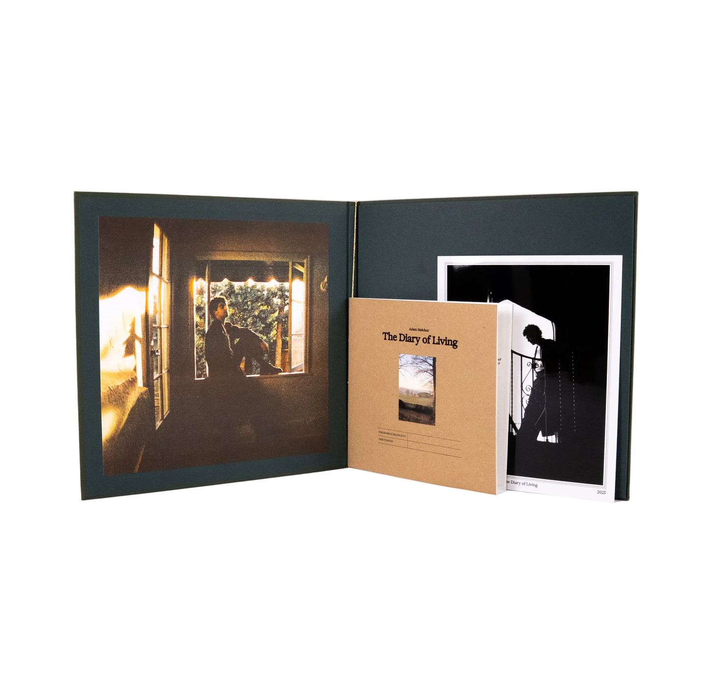 The Diary of Living Deluxe Anniversary Signed Vinyl